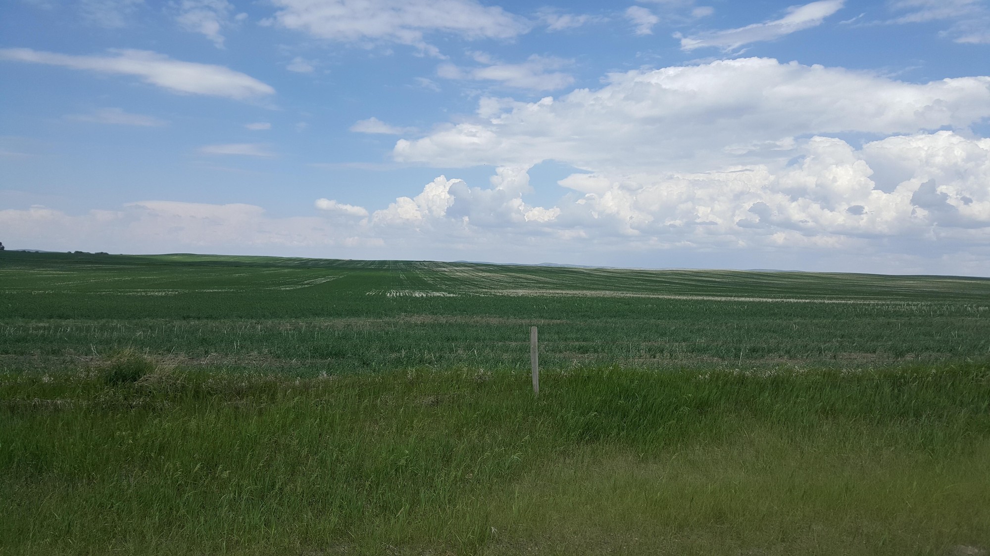 saskatchewan-farmland-value-trend-west-central-region-q1-q2-2018