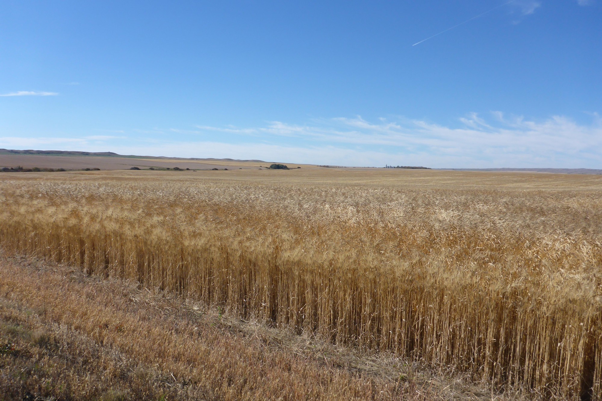 farmland-loss-ontario-farmland-trust